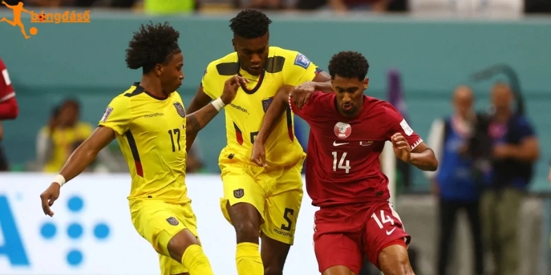 Sơ đồ dự kiến trận Bosnia and Herzegovina vs Qatar