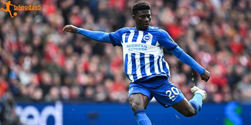 MU đứng trước cơ hội sở hữu Carlos Baleba từ Brighton